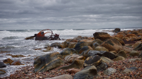 near Sally's Cove, Newfoundland