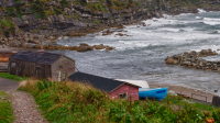 near Sally's Cove, Newfoundland