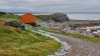 near Sally's Cove, Newfoundland