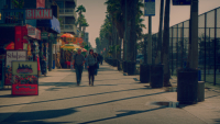 Venice Beach