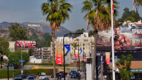 Hollywood Hills from Sunset Drive